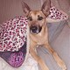 Double blanket Extra thick - Teddy Luxury Spa Double blanket Extra thick - Teddy Luxury Spa